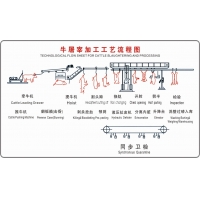 牛屠宰設(shè)備屠宰加工工藝流程（圖)