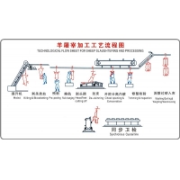 羊屠宰設(shè)備屠宰加工工藝流程（圖）