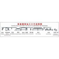 家禽屠宰機械屠宰加工工藝流程（圖）