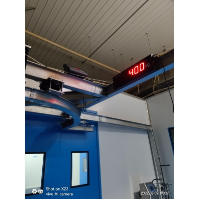 屠宰靜態(tài)軌道秤